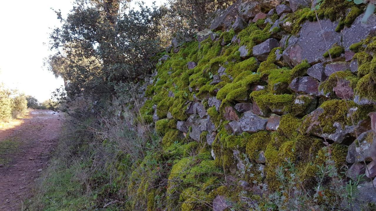 Casa Rural El Arco La Estrella  Esterno foto